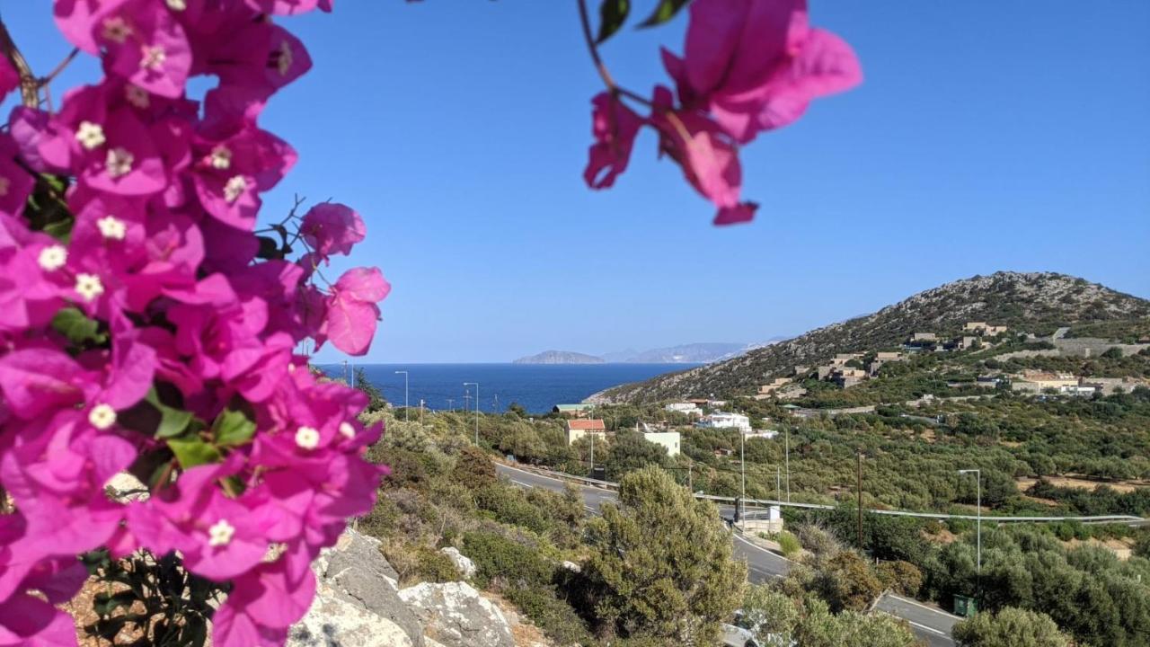 Hari Apartments Vathi, Agios Nikolaos Crete Bagian luar foto