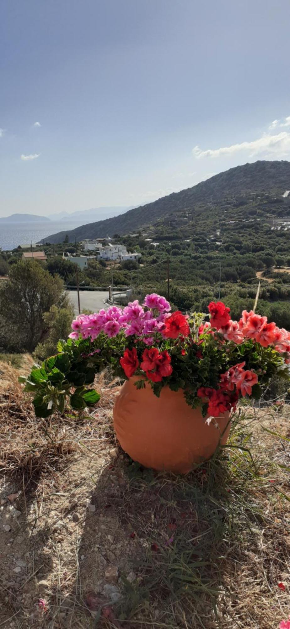 Hari Apartments Vathi, Agios Nikolaos Crete Bagian luar foto