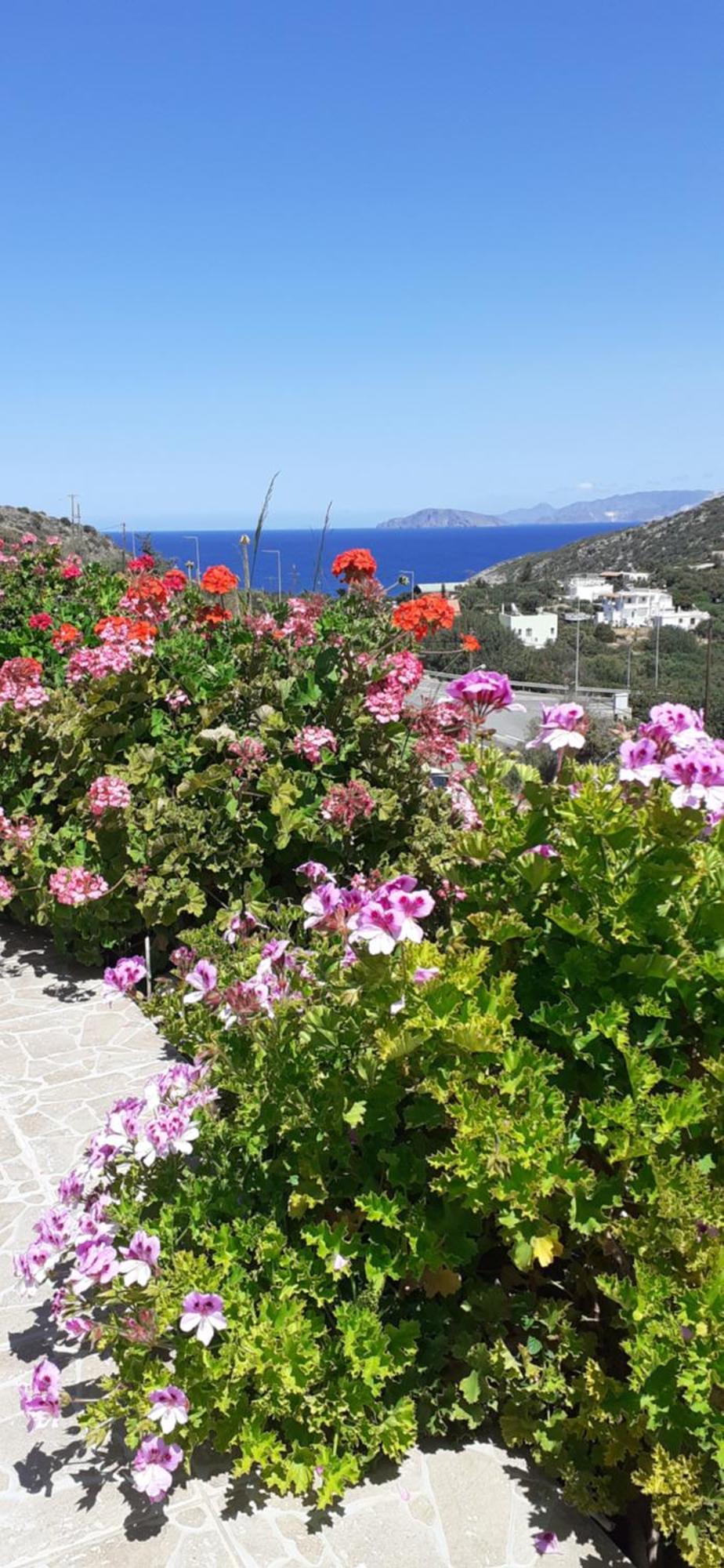 Hari Apartments Vathi, Agios Nikolaos Crete Bagian luar foto