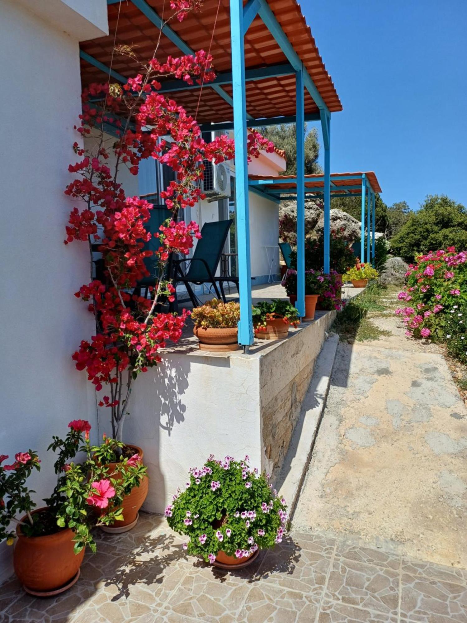 Hari Apartments Vathi, Agios Nikolaos Crete Bagian luar foto